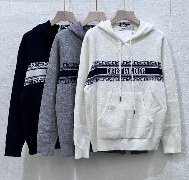 Christian Dior Hoodies